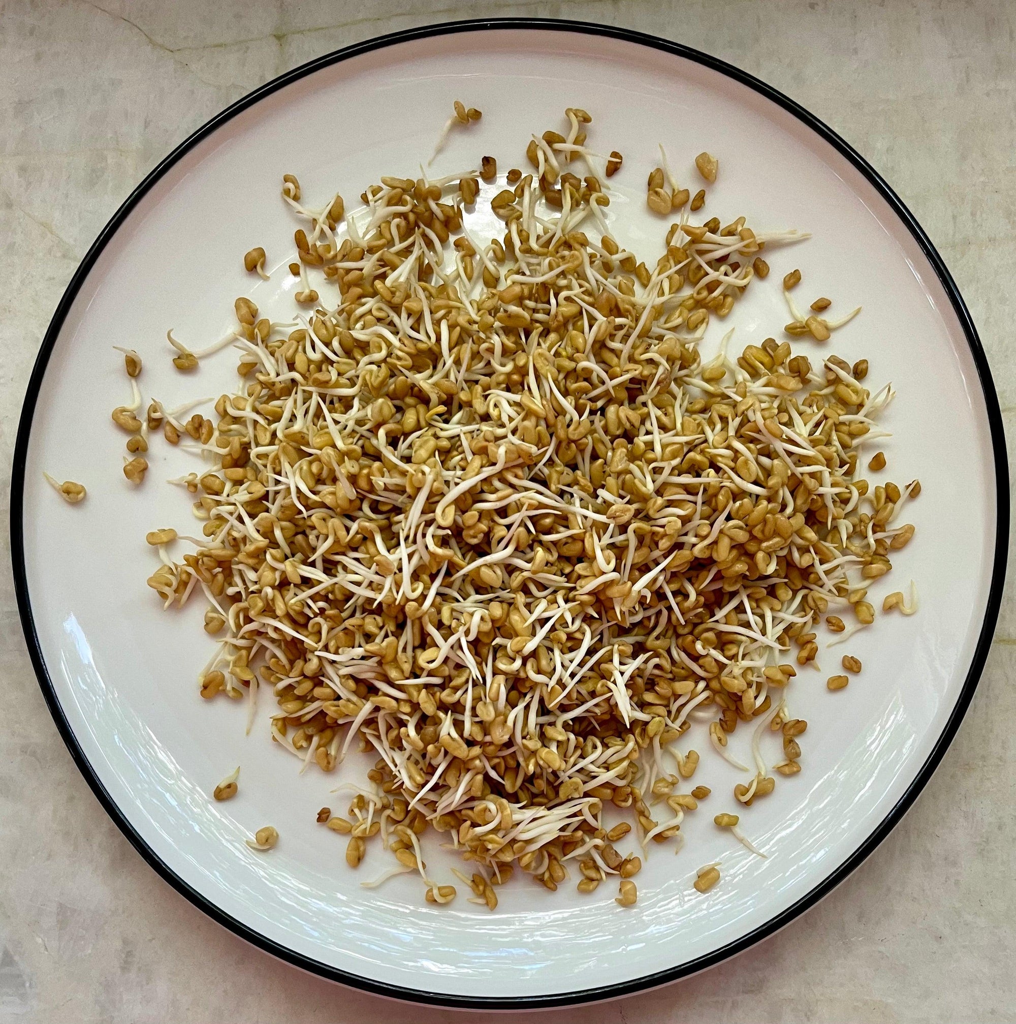 Anupy's Grocery Corner: Fenugreek - Seeds to Leaves