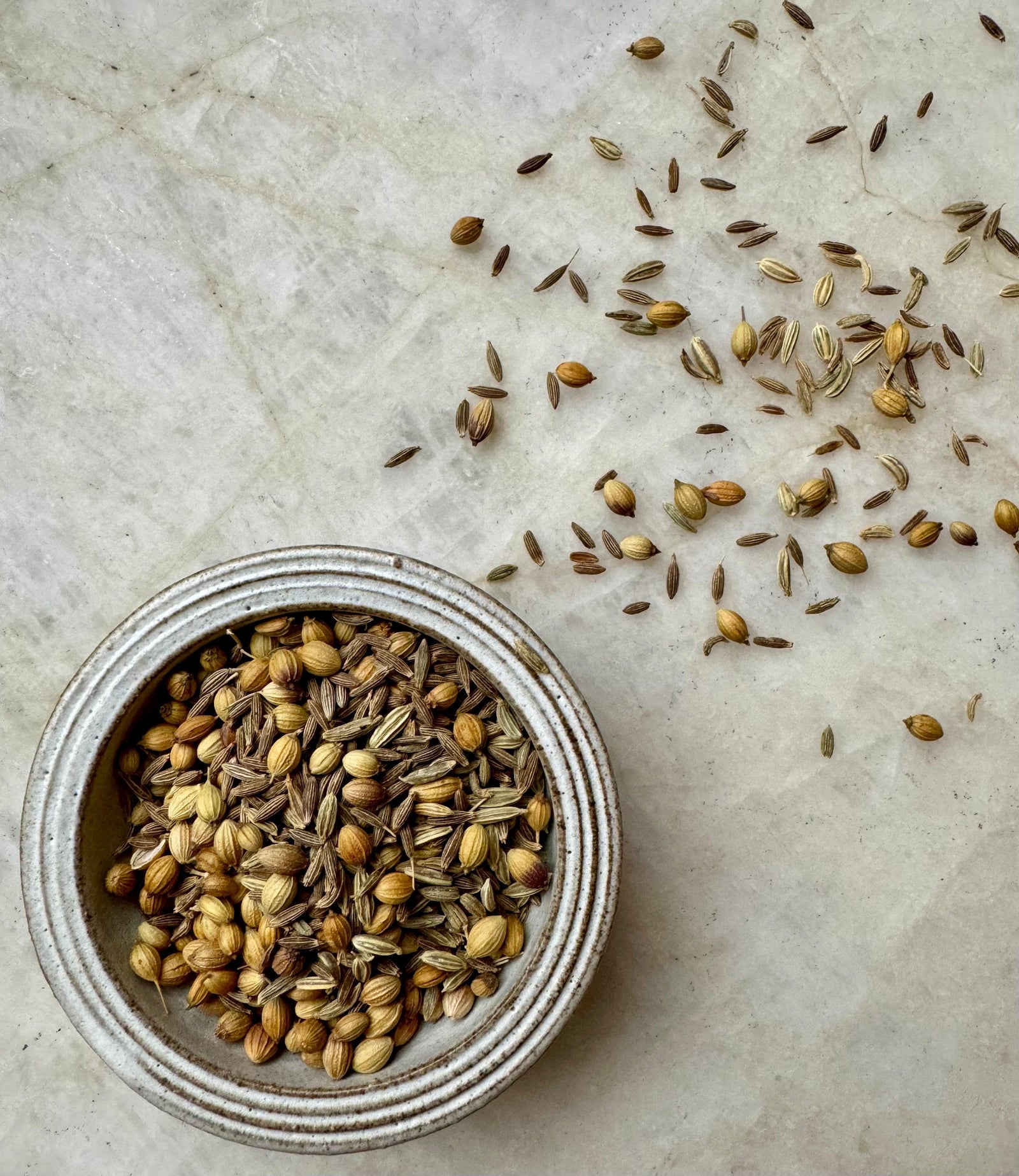 Stovetop: CCF Tea, Miracle Tea to Ease Digestion & Bloat