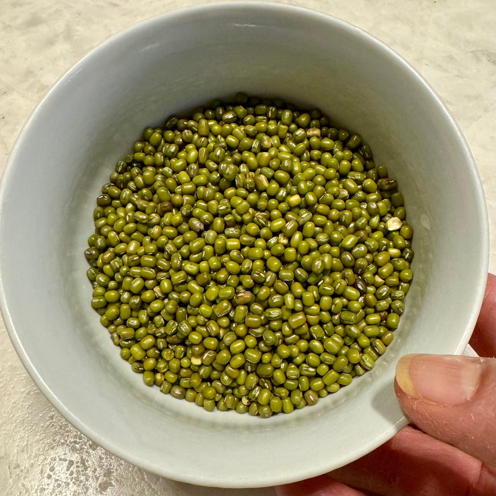 Sabut Moong Dal - Whole Moong