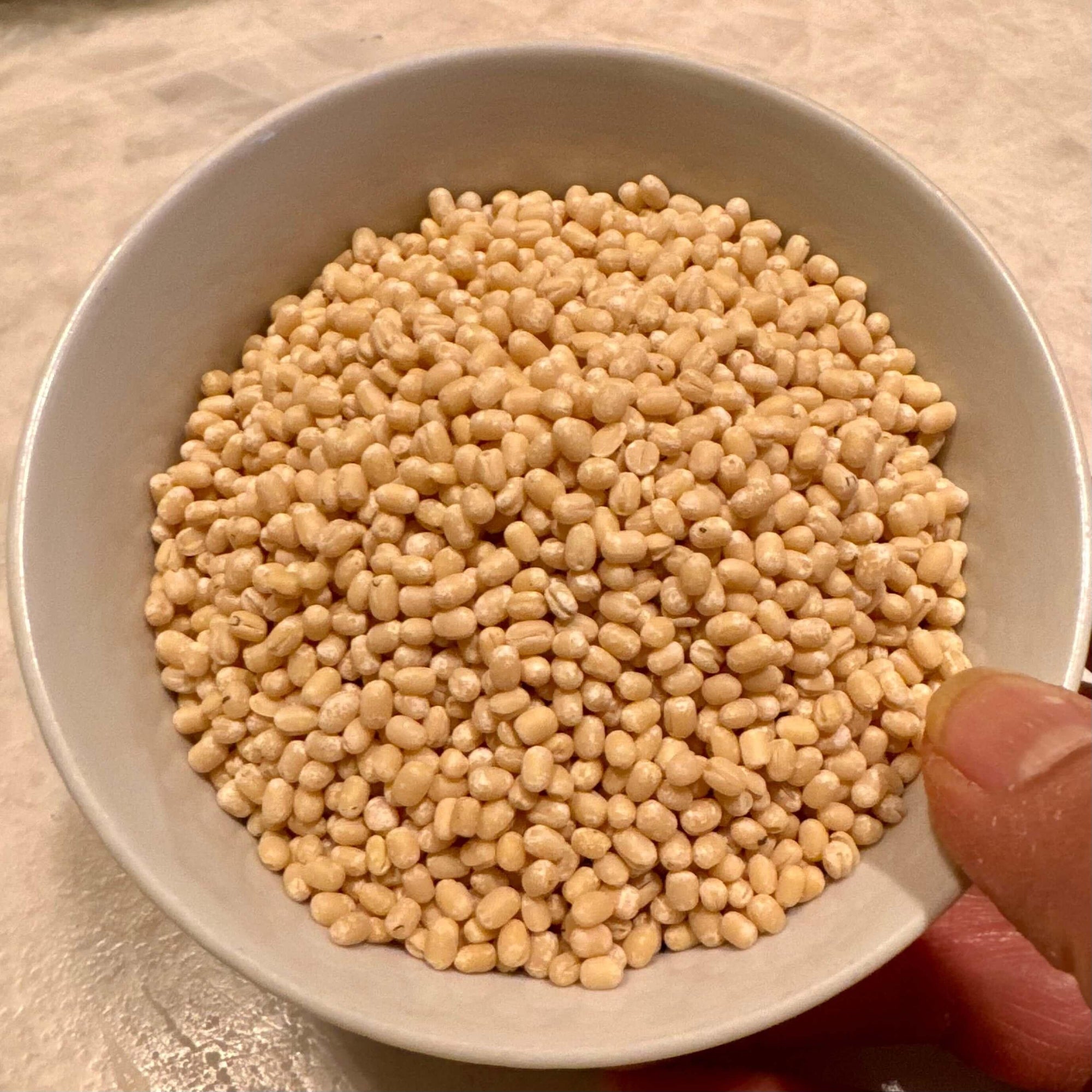 Urad Gota - Whole Skinned Black Gram